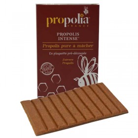 Propolis bio à mâcher