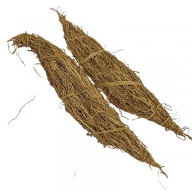 Khamaré Corset - Gongoli - Petite Racine de Vétiver fraiche