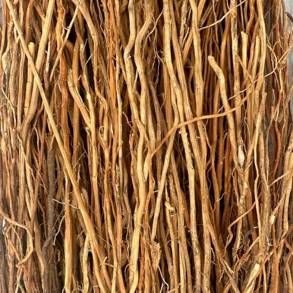 Khamaré de Kayes - Qualité supèrieur - Gongoli - Racine de Vétiver